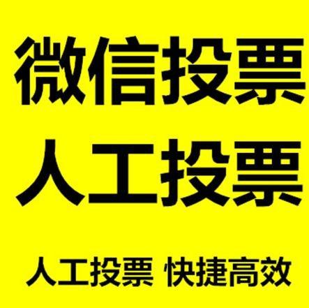 酒泉市投票活动拉票能被查出来吗？如何操作能不被发现？